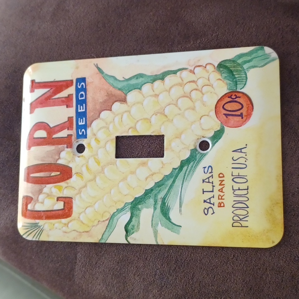 Light Switch Cover
